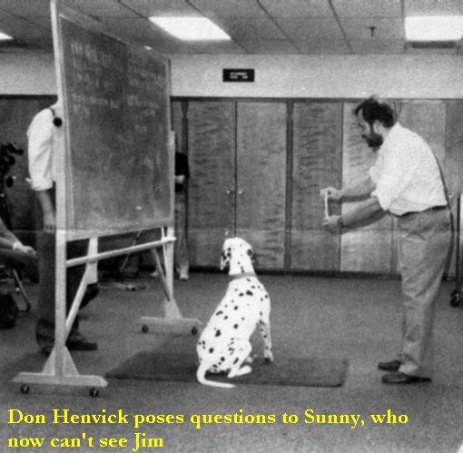 
Don Henvick poses questions to Sunny, who now can't see Jim.